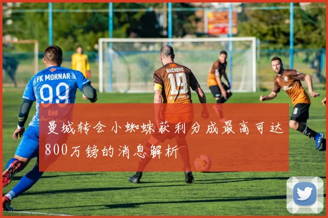 曼城转会小蜘蛛获利分成最高可达800万镑的消息解析