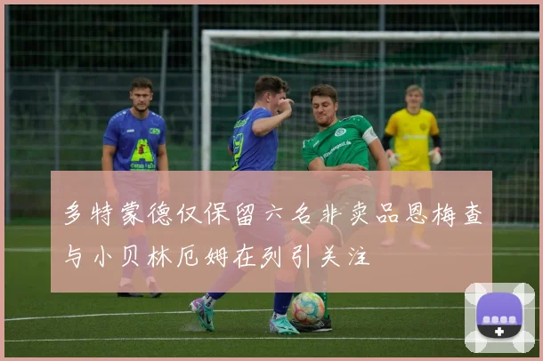 多特蒙德仅保留六名非卖品恩梅查与小贝林厄姆在列引关注